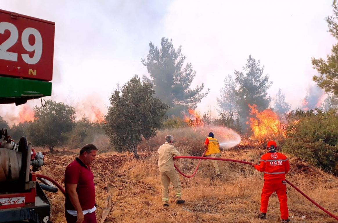 <Hatay orman yangınları belgesel oldu