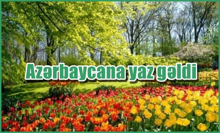 Azərbaycana yaz gəldi.....