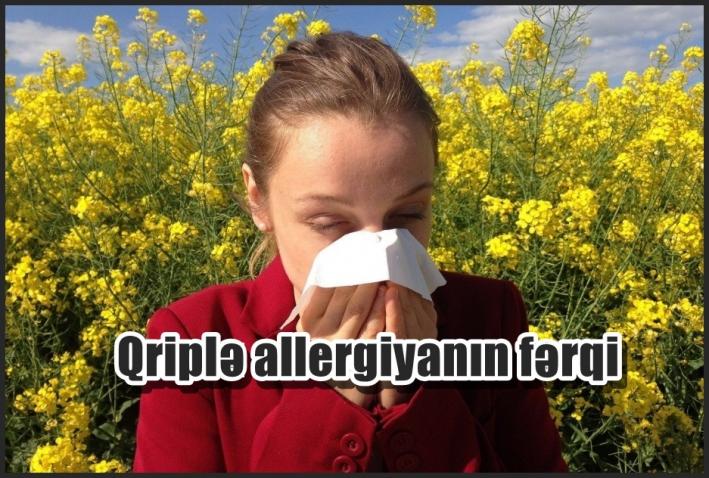 Qriplə allergiyanın fərqi