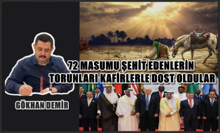 Mimar Gökhan Demir