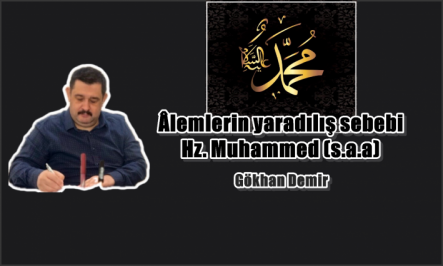 Mimar Gökhan Demir