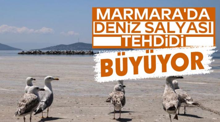 <Marmara’da deniz salyası tehdidi büyüyor.....