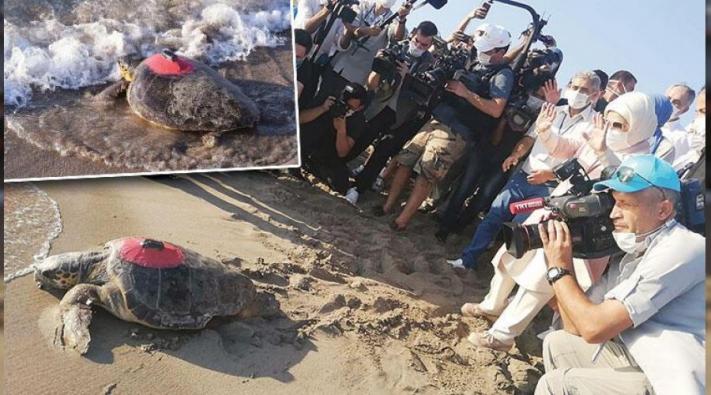 <İşte kaplumbağa hızı: Likya 296 günde Tunus’a ulaştı.....