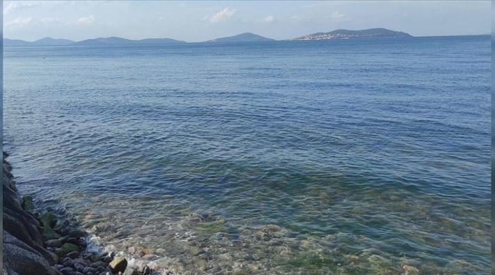<Marmara Denizi’nde ’oksijen’ tükeniyor.....