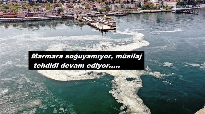 <Marmara soğuyamıyor, müsilaj tehdidi devam ediyor.....