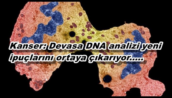 <Kanser: Devasa DNA analizi yeni ipuçlarını ortaya çıkarıyor.....