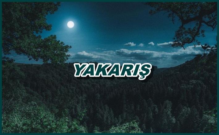 <YAKARIŞ -73-