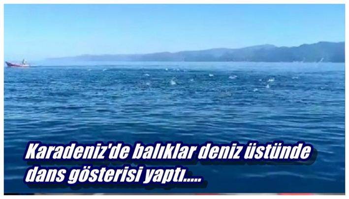 Karadeniz’de balıklar deniz üstünde dans gösterisi yaptı.....