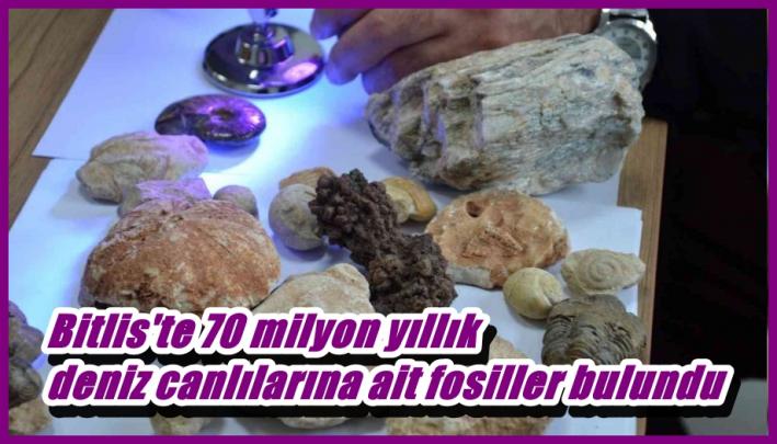 <Bitlis’te 70 milyon yıllık deniz canlılarına ait fosiller bulundu.....