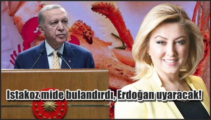 <Istakoz mide bulandırdı, Erdoğan uyaracak!