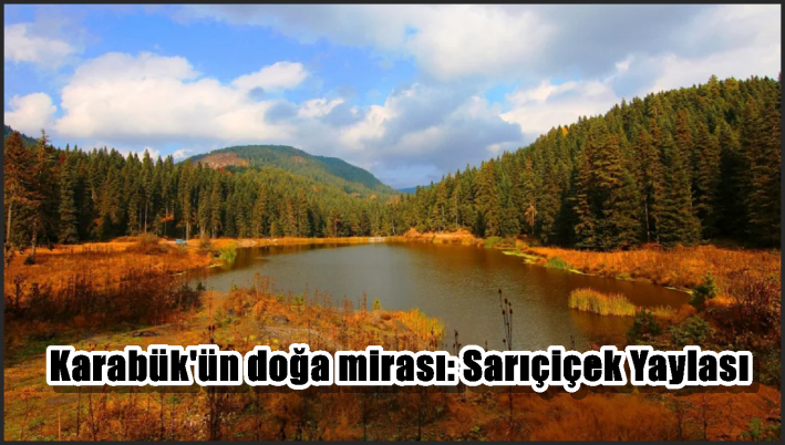 <Karabük’ün doğa mirası: Sarıçiçek Yaylası