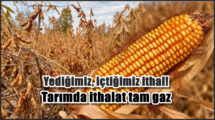 <Tarımda ithalat tam gaz