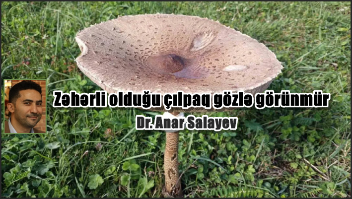 Zəhərli olduğu çılpaq gözlə görünmür.